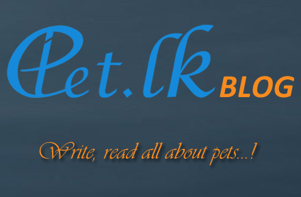 Write and read all about pets...!